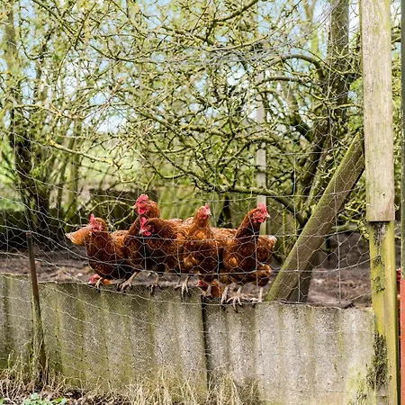 Дом отдыха In With Wifi *