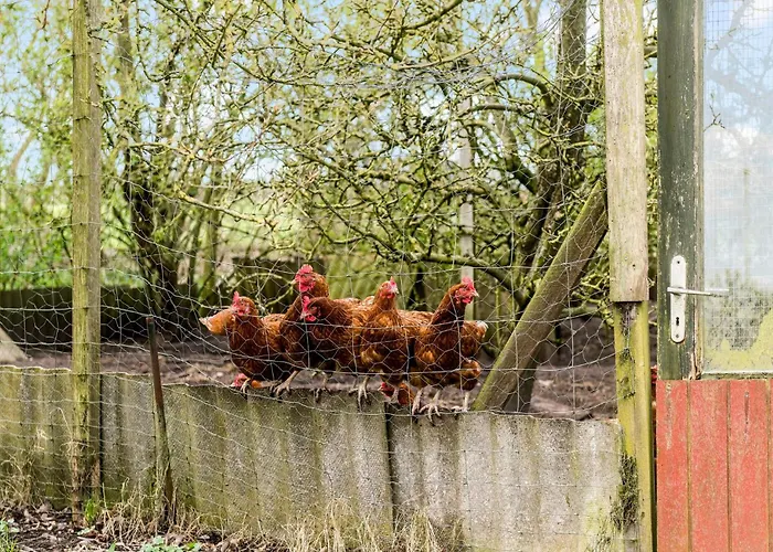 Prázdninový dům In With Wifi *